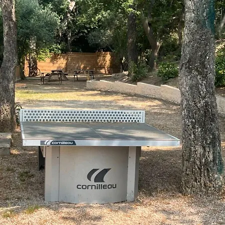 Camping A Seyne-sur-mer Avec Terrasse, 2 - Api-1-52-952